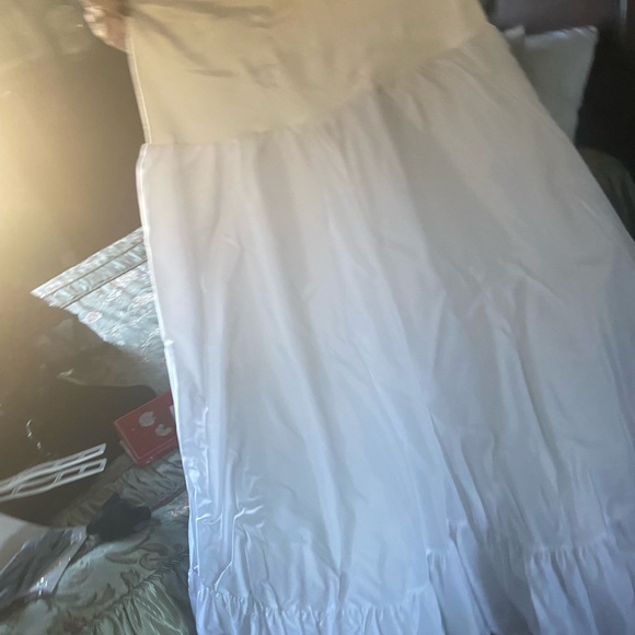 Crinoline - Picture 3 of 3